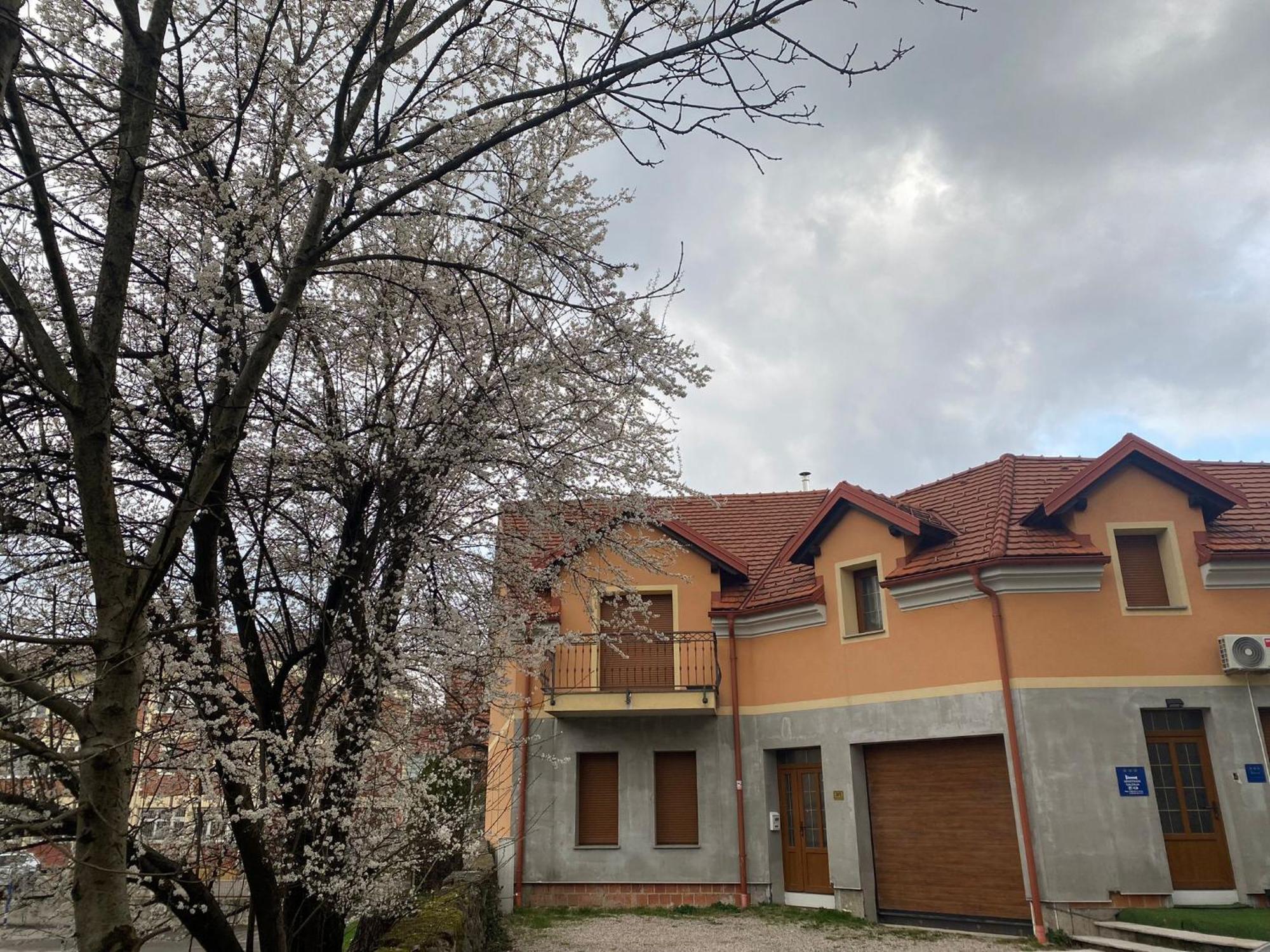 Apartman Galerija Ogulin Ngoại thất bức ảnh